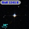 Wolf 1341 B