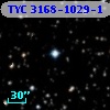 TYC 3168-1029-1
