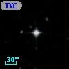 TYC 5239-1262-1