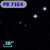 PB  7164
