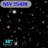 NSV 25438