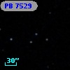 PB  7529