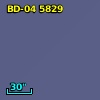 BD-04  5829