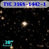 TYC 3168-1442-1