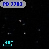 PB  7703