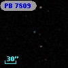 PB  7809