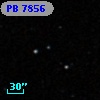PB  7856