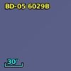 BD-05  6029B