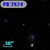 PB  7824