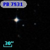 PB  7831