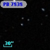 PB  7838