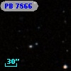 PB  7866