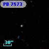 PB  7873