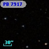 PB  7917