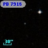 PB  7918