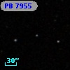 PB  7955