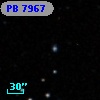 PB  7967