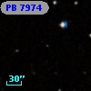 PB  7974