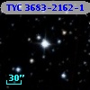 TYC 3683-2162-1