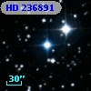 HD 236891