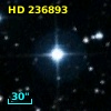 HD 236893