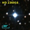 HD 236916