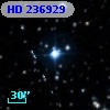 HD 236929