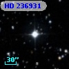 HD 236931