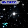 HD 236932