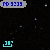 PB  8239