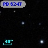 PB  8247