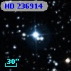 HD 236914