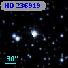 HD 236919