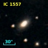IC 1557