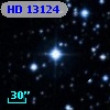 HD  13124