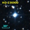 HD 236900