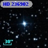 HD 236902