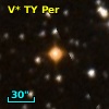 V* TY Per