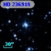 HD 236918