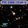 TYC 3168-2310-1