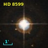 HR   406