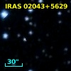 IRAS 02043+5629