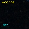 ACO   229