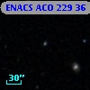 ENACS ACO   229  36