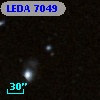 LEDA    7049