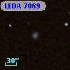 LEDA    7089