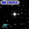 HD 236911
