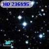 HD 236895