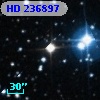 HD 236897