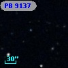 PB  9137